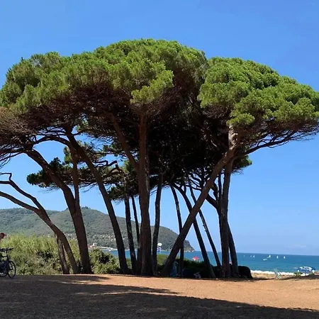 Abitare Con L'arte Di Un Art Designer * Piombino